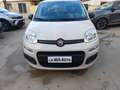Fiat Panda Panda 1.2 69cv Beige - thumbnail 3
