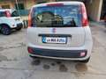 Fiat Panda Panda 1.2 Lounge 69cv Beige - thumbnail 15