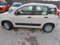 Fiat Panda Panda 1.2 69cv Beige - thumbnail 20