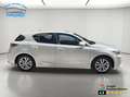 Lexus CT 200h Weiß - thumbnail 5