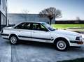 Audi V8 3,6 V8 / QUATTRO / BLANC NACRE ETAT CONCOURS !!!!! Bílá - thumbnail 3