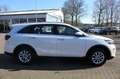 Kia Sorento 2.2 CRDI  Vision 4WD (AHK) Weiß - thumbnail 4