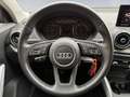 Audi Q2 30 1.0 tfsi Business Design Grau - thumbnail 12