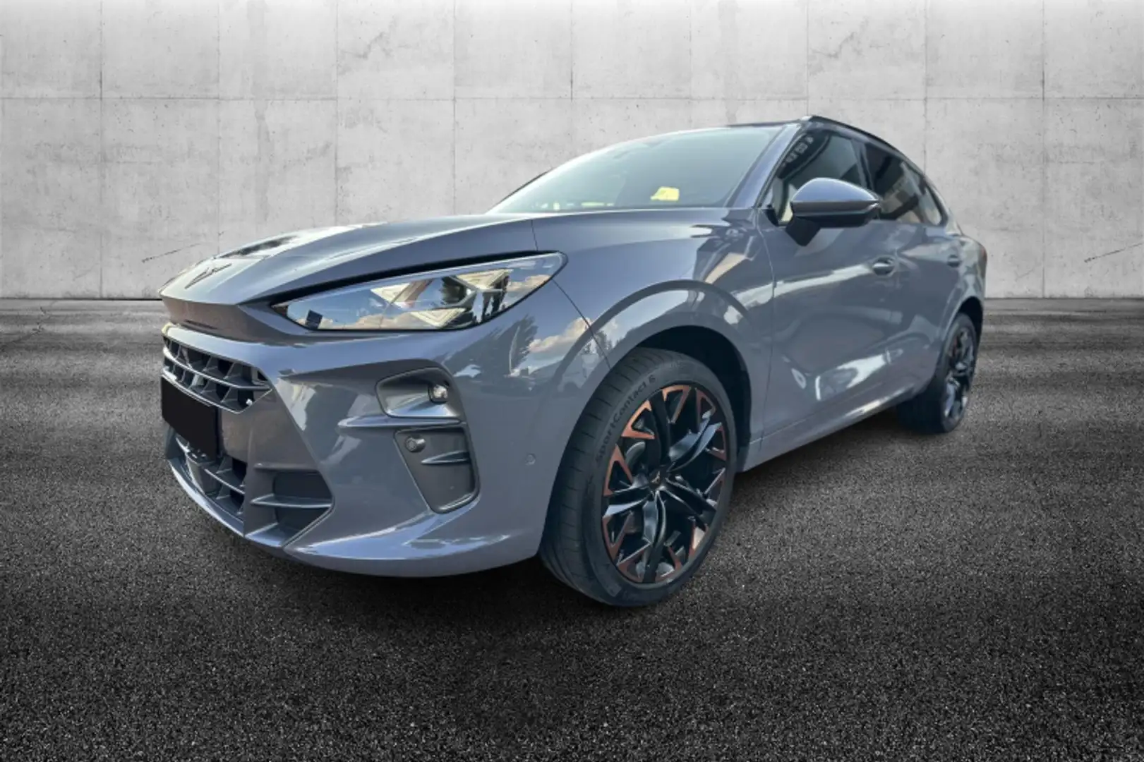 CUPRA Terramar 2.0 TSI DSG 4Drive VZ Grigio - 1