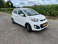 Kia Picanto Picanto 1.0 CVVT BusinessL. Blanc - thumbnail 3