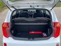 Kia Picanto Picanto 1.0 CVVT BusinessL. Blanco - thumbnail 25