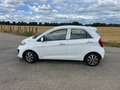 Kia Picanto Picanto 1.0 CVVT BusinessL. Blanc - thumbnail 8