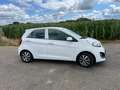 Kia Picanto Picanto 1.0 CVVT BusinessL. Blanc - thumbnail 4