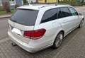 Mercedes-Benz E 300 E-Klasse T-Modell Diesel T BlueTEC Elegance Leder White - thumbnail 3