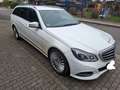 Mercedes-Benz E 300 E-Klasse T-Modell Diesel T BlueTEC Elegance Leder White - thumbnail 2