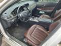 Mercedes-Benz E 300 E-Klasse T-Modell Diesel T BlueTEC Elegance Leder White - thumbnail 5