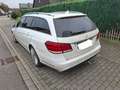 Mercedes-Benz E 300 E-Klasse T-Modell Diesel T BlueTEC Elegance Leder White - thumbnail 4