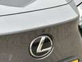 Lexus RZ 450e President Line 71 kWh | NL-Auto/1e eign./360° Grijs - thumbnail 27