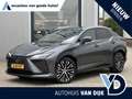 Lexus RZ 450e President Line 71 kWh | NL-Auto/1e eign./360° Grijs - thumbnail 1
