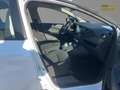 Renault ZOE LIFE Batteriemiete R110 *Winterpaket Weiß - thumbnail 7