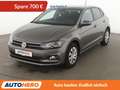 Volkswagen Polo 1.0 TSI Comfortline*ACC*PDC*SHZ* Grau - thumbnail 1