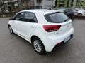 Kia Rio Rio  1.0 t-gdi mhev Style s/Comfort Pack 100cv imt Bianco - thumbnail 6