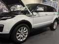 Land Rover Range Rover Evoque TD4 SE Weiß - thumbnail 4