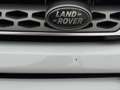 Land Rover Range Rover Evoque TD4 SE Weiß - thumbnail 19