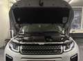 Land Rover Range Rover Evoque TD4 SE Weiß - thumbnail 1