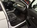 Land Rover Range Rover Evoque TD4 SE Weiß - thumbnail 13