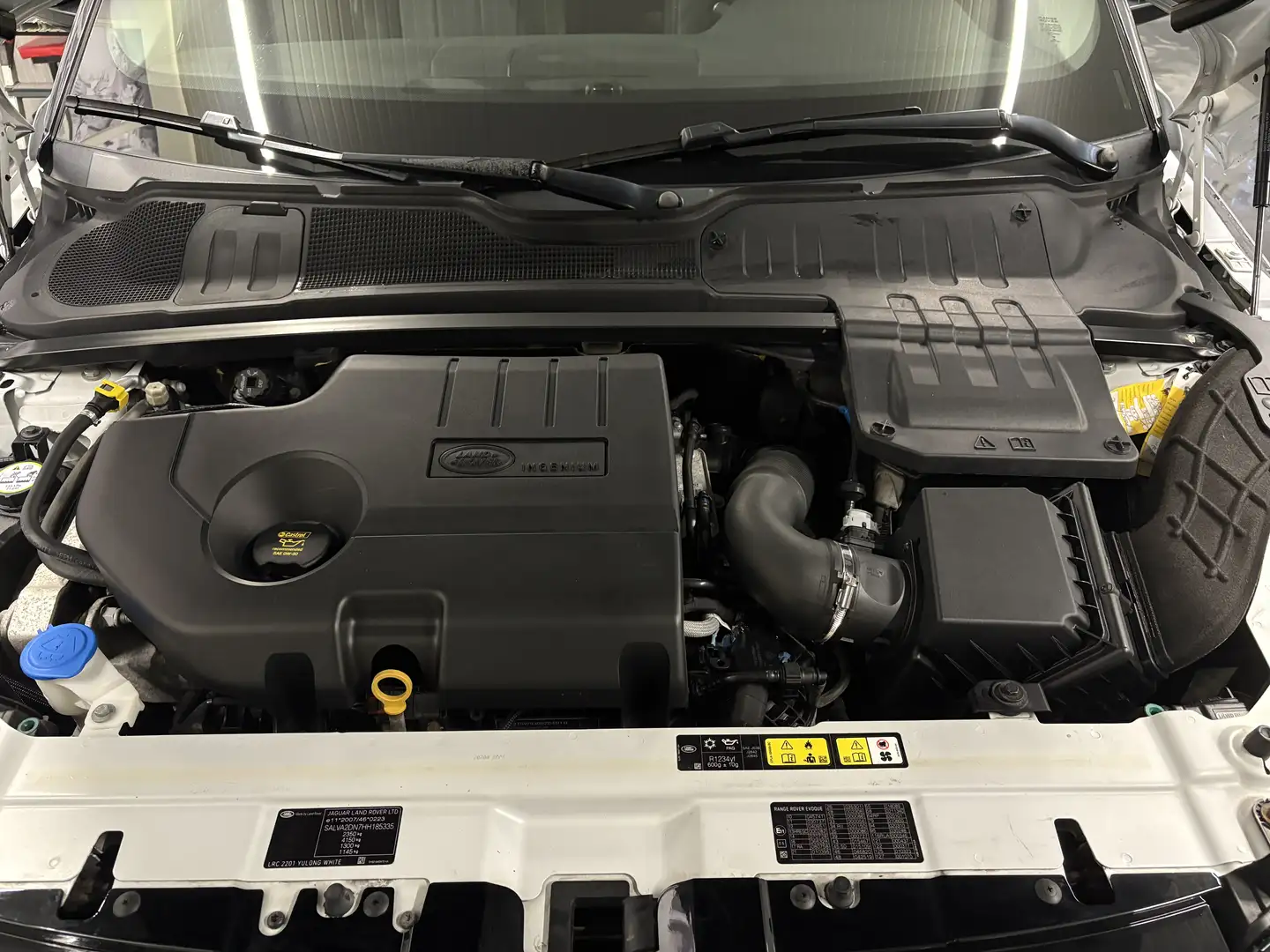 Land Rover Range Rover Evoque TD4 SE Weiß - 2