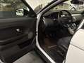 Land Rover Range Rover Evoque TD4 SE Weiß - thumbnail 7