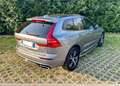 Volvo XC60 XC60 2.0 b4 R-design awd auto my20 Gris - thumbnail 6