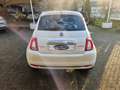 Fiat 500 1.0 HYBRID 70 CV DOLCEVITA Bianco - thumbnail 5