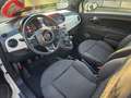 Fiat 500 1.0 HYBRID 70 CV DOLCEVITA Blanc - thumbnail 10
