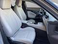 DS Automobiles DS 4 1.5 bluehdi Esprit de Voyage 130cv auto Grau - thumbnail 21