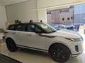 Land Rover Range Rover Evoque 2.0D I4 MHEV S AWD Aut. 163 Blanco - thumbnail 6