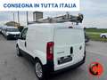 Fiat Fiorino 1.3 MJT 95 ADVENTURE- OFFICINA MOBILE EX ENEL Bianco - thumbnail 5