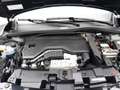 Fiat 600 1.2 Hybrid Urban Fiat 600 1.2 Hybrid 100 Urban | K Zwart - thumbnail 24