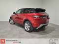 Land Rover Range Rover Evoque 2.2L eD4 Pure Tech 4x2 Rouge - thumbnail 13