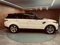Land Rover Range Rover Sport 3.0D I6 183kW 249CV S AWD Auto. 5p Blanco - thumbnail 39