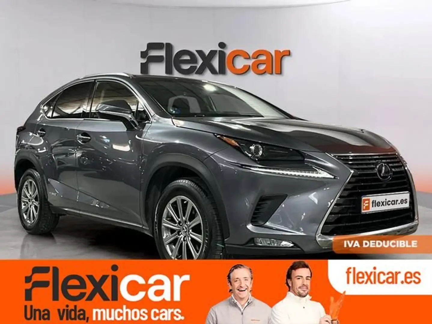 Lexus NX 300 300h Business 2WD Gris - 1