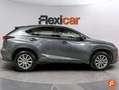 Lexus NX 300 300h Business 2WD Gris - thumbnail 9
