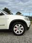 BMW X5 3,0d Aut. Weiß - thumbnail 35