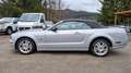 Ford Mustang Cabrio  GT  V8 Zilver - thumbnail 12