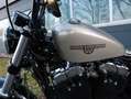 Harley-Davidson XL 1200 X Forty Eight 48 Sportster| Jekill&Hyde Argent - thumbnail 10