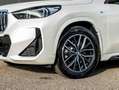 BMW iX1 xDrive30 M Sportpaket AHK 360° HUD AdaptLED 1VB Weiß - thumbnail 22