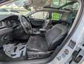Skoda Superb Combi*Memo*Pano*BiXen*RKam*DCC*AHK*CarPlay Weiß - thumbnail 10