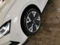 Skoda Superb Combi Selection 1.5 TSI mHEV DSG +AHK+SHZ Bianco - thumbnail 7