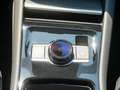 Volkswagen Tiguan 1.5 TSI DSG eHybrid Elegance AHK, WWV Weiß - thumbnail 17