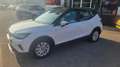 SEAT Arona 1.0 tgi Xperience 90cv Blanc - thumbnail 15
