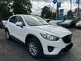 Mazda CX-5 Sendo*Automatik*PDC*AHK*Navi*BOSE*SHZ Weiß - thumbnail 5