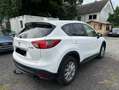 Mazda CX-5 Sendo*Automatik*PDC*AHK*Navi*BOSE*SHZ Weiß - thumbnail 4