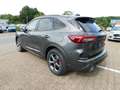 Ford Kuga Plug-In Hybrid ST-Line X  Autom. ACC / 360° Gris - thumbnail 7