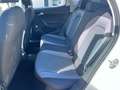 SEAT Arona SEAT ARONA 1.0 TGI METANO - 95.000km -2019 Bianco - thumbnail 13